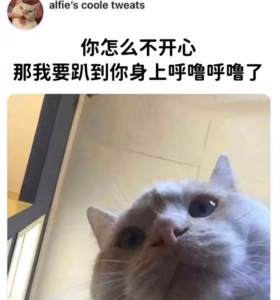 为什么猫喉咙一直发出低沉的咕噜叫？
