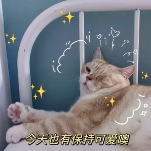 新手养猫攻略：猫咪疫苗怎么打？