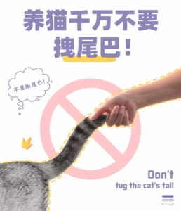 猫尾巴为什么不能拽？