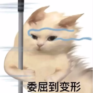 猫假装咬你是什么意思？
