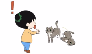 今日份猫咪迷惑行为 | 人，你误会小猫的意思啦