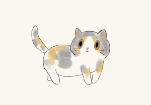 猫生气时的表现 | 不在脸上，全在这里