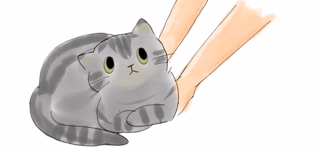 用猫当暖手宝