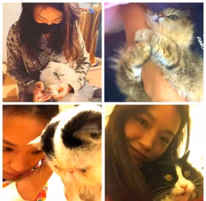 猫能和主人一起睡床上吗？不喜欢睡猫窝就喜欢床 ～