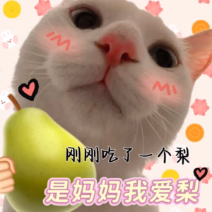 猫咪被惯坏的表现，如果全中那就是妥妥的妈宝猫