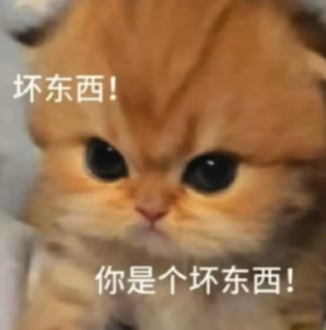 摸这里，小猫真的会生气哦