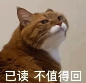 猫咪是否能听懂自己名字？答案和你想的不一样！
