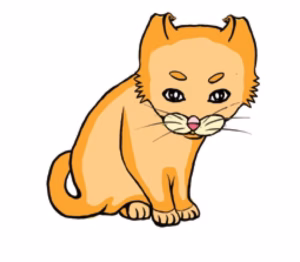 猫语解读 | 猫咪耳朵略微朝后展是什么意思？