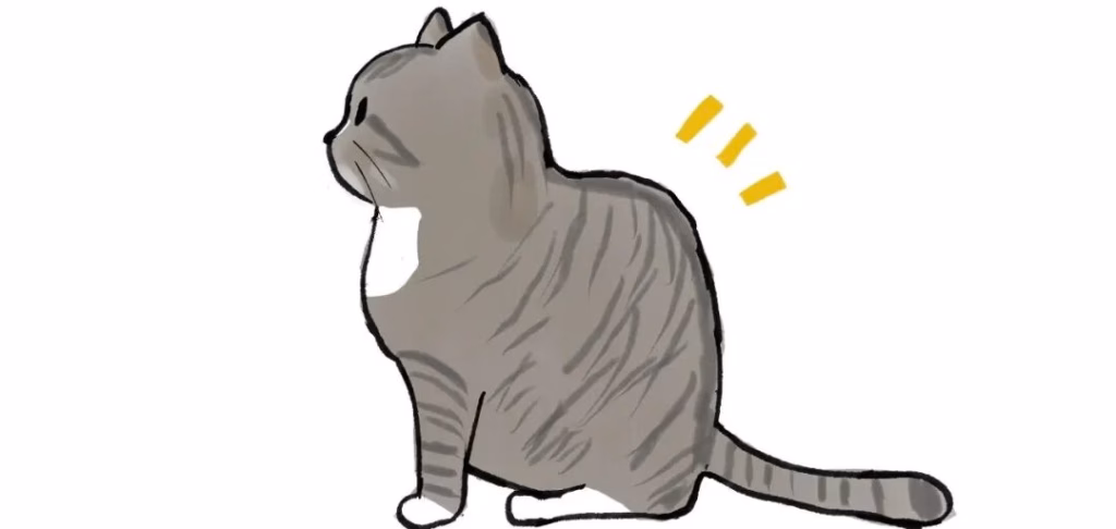 一只坐下的猫咪