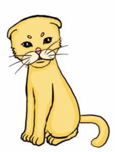 猫语解读 | 猫咪耳朵拉平，并向后伸或贴在脑后（飞机耳）
