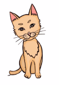 猫语解读 | 猫咪耳朵竖起，但没有特别向前