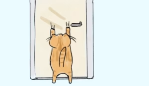 猫式相对论 —— 太真实了