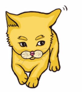 猫语解读 | 猫咪耳朵耸起，并向某处转（撇）