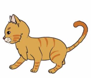 猫语专题 | 猫咪耳朵向前突出是什么意思？