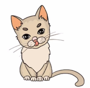 猫语解读 | 猫咪舔鼻子代表什么意思？