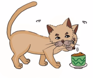 猫语解读 | 猫咪用鼻子试探、接近代表什么？