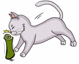 猫语解读 | 猫咪用鼻子撞东西代表什么意思？