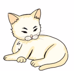 猫语解读 | 猫咪半眯着眼睛