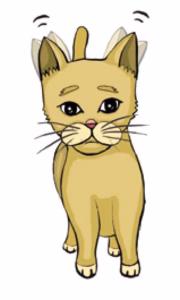 猫语解读 | 猫咪耳朵抖动是什么意思？