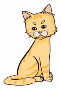 猫语解读 | 猫咪眼神斜视是什么意思？