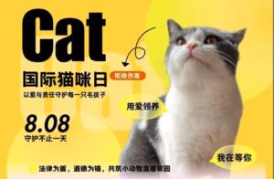 国际猫咪日虽远在8月，但这件事我们一天也等不了
