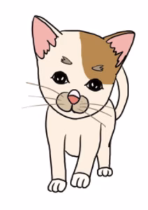 猫语解读 | 猫咪嘴巴抿紧代表什么意思？