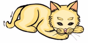 猫语解读 | 猫咪尾巴向下，尾尖向上。代表什么意思？