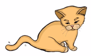 猫语解读 | 猫咪尾巴晃动代表什么意思？