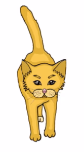 猫语解读 | 猫咪尾巴竖起，笔直。代表什么意思？