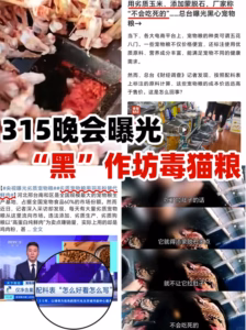 2026年315猫粮榜：养猫人速来围观